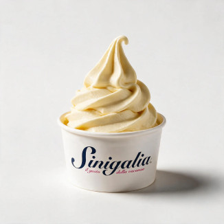Mix Glace Italienne Vanille Sinigalia – 1 kg Pro