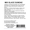Mix Glace Sundae Sinigalia – 1 kg Pro